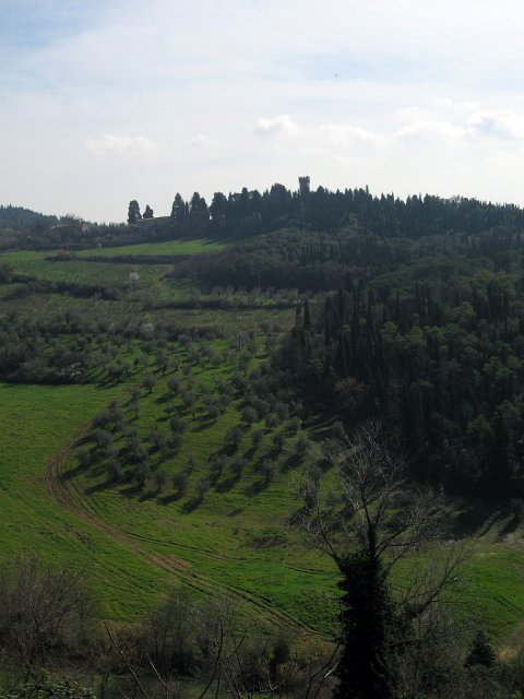 Fiesole - Parco di Montececeri-34.JPG